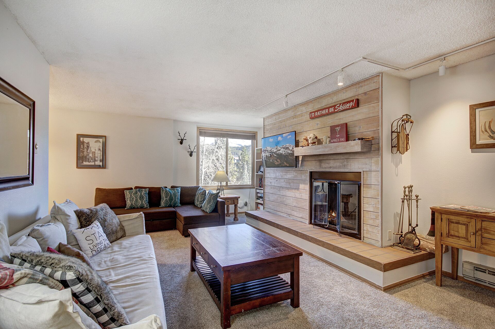 TV, fireplace, books, stereo