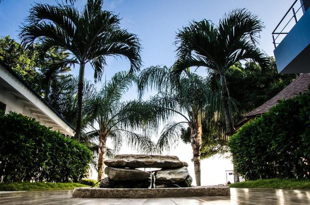 A courtyard with palm trees, a water feature, and a modern building.