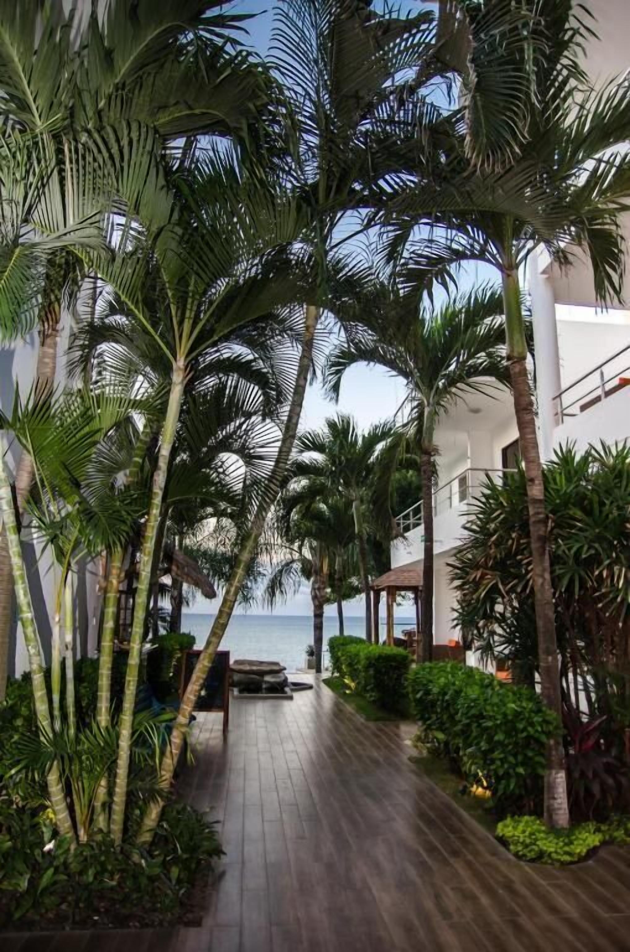 A corridor lined with palm trees and a wooden floor leading to a covered area with a view of the sea.