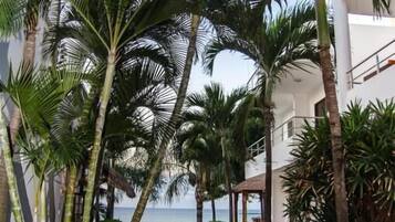 A corridor lined with palm trees and a wooden floor leading to a covered area with a view of the sea.