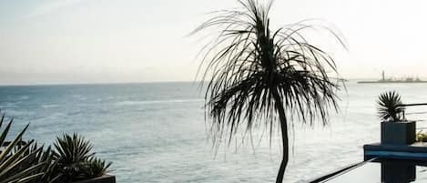 A poolside view with a palm tree, a sign reading "FEUGIO," and a clear view of the ocean.