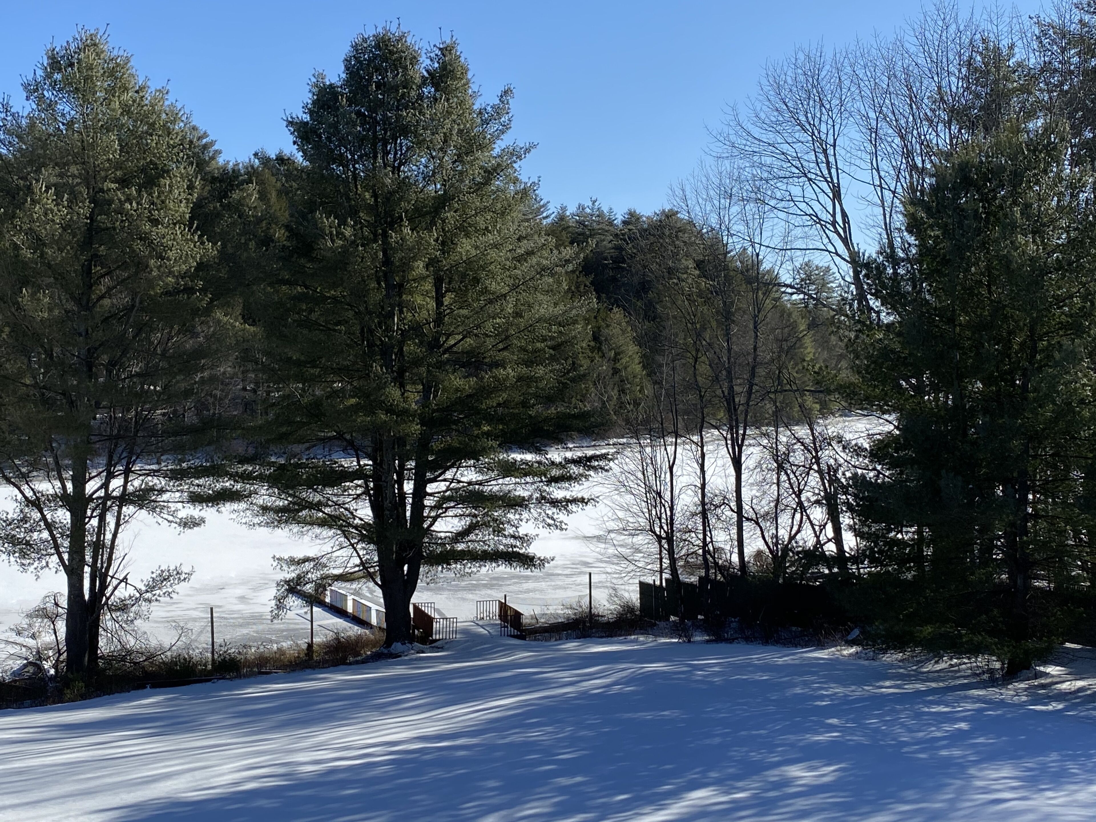 A snow-covered landscape with trees and a fence.