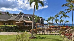 Un resort con zona de piscina, palmeras y vista al océano.