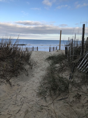 Playa en los alrededores