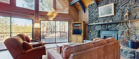 TV, fireplace, DVD player, video library