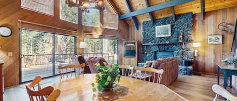 تلفزيون، مدفأة، مشغل دي في دي، مكتبة فيديو