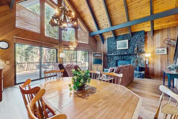 TV, fireplace, DVD player, video library