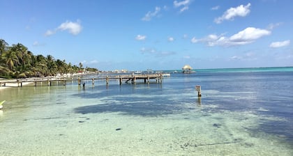 Las Amapolas - Steps from the Sea - Minutes to Secret Beach - 1B Upper Unit