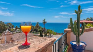A glass of orange juice on a balcony with a view of the ocean and a cactus plant. - Villa Claudia Nerja by Ruralidays (Málaga)