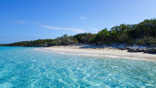 A beach with clear turquoise water, sandy shore, and dense vegetation. - Floating Hotel in Paradise !!!! Staniel Cay, Exuma,Bahamas!!! (Staniel Cay)