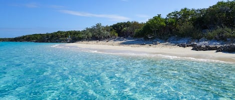 Tumbonas y toallas de playa