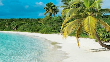 Sun-loungers, beach towels