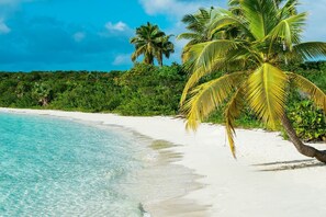 Sun loungers, beach towels - Floating Hotel in Paradise !!!! Staniel Cay, Exuma,Bahamas!!! (Staniel Cay)