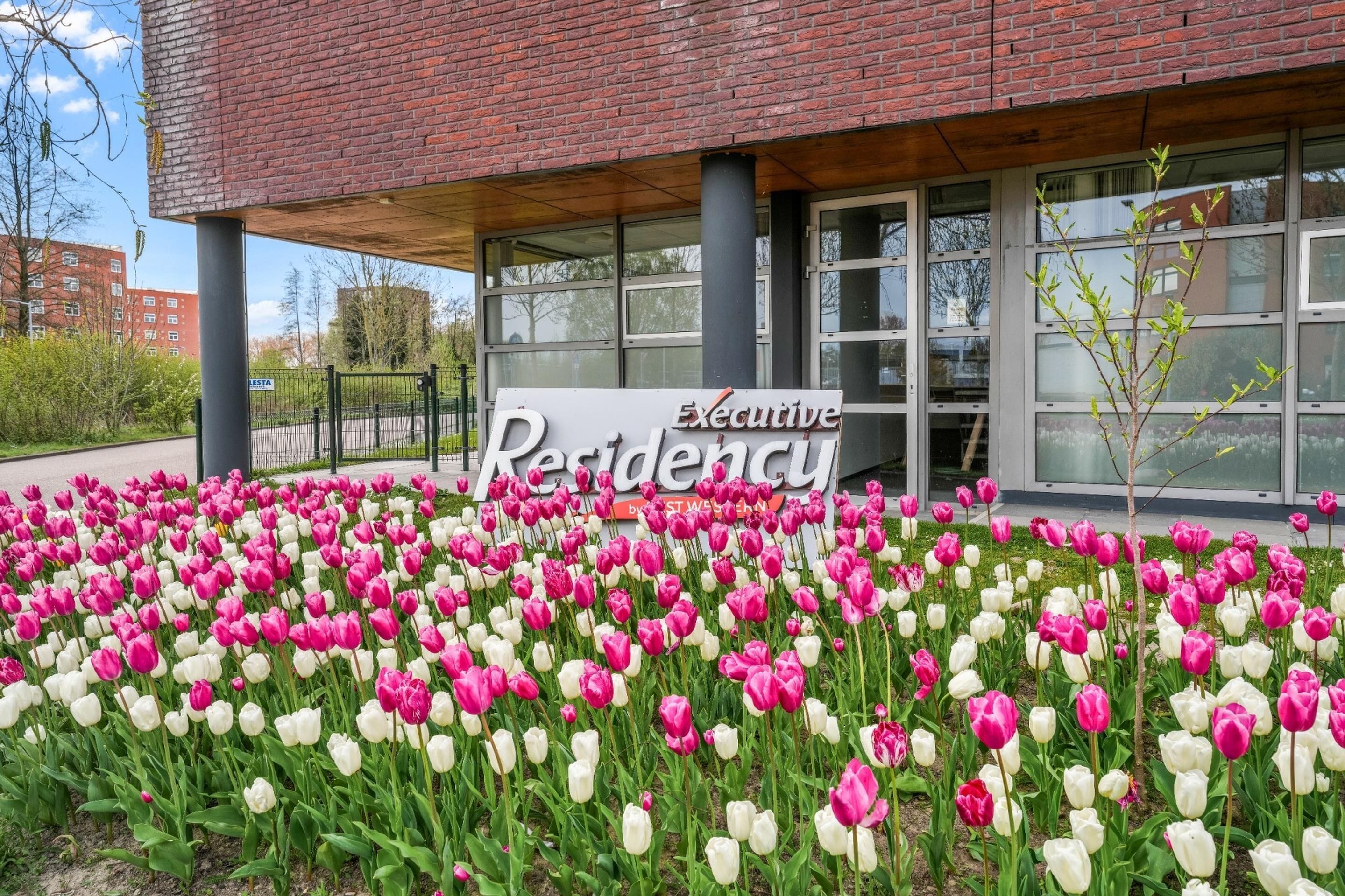 A building with a sign reading 'Executive Residency' and a garden of pink and white tulips in front.