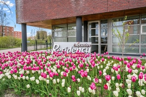 A building with a sign reading 'Executive Residency' and a garden of pink and white tulips in front.