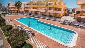 Una piscina rodeada por un patio de ladrillo con sillas de descanso y una palmera.