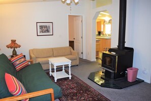 House (Rustic Rapids) | Living room | TV