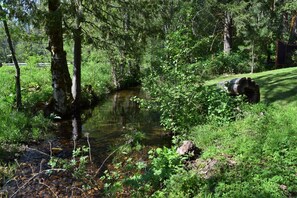 A natural landscape with a small stream, dense greenery, and a fallen tree. - Cabin on the Creek (Packwood)