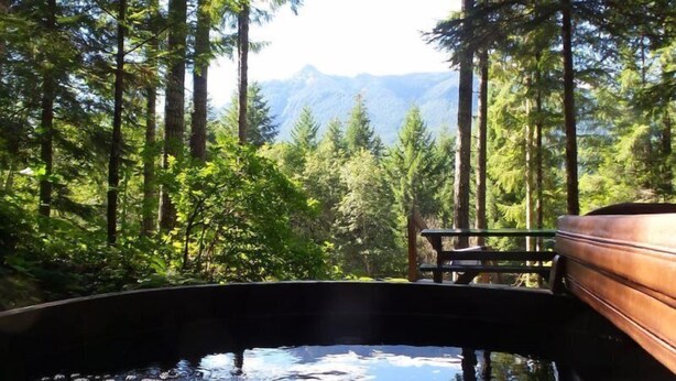 A hot tub in a forested area with a view of mountains.