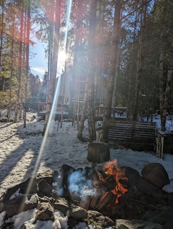 Cabin (Butter Creek Cabin) | Exterior - Butter Creek Cabin (Packwood)