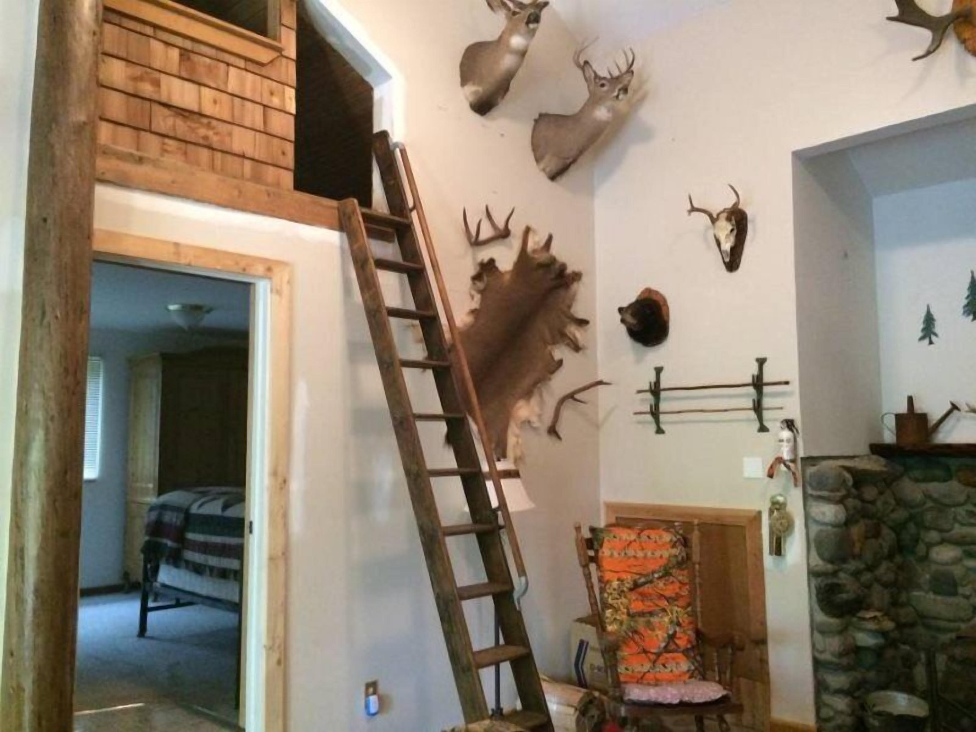 Ein Zimmer mit einer Holzleiter, die an einer Wand lehnt, einem Bett mit gestreifter Decke und verschiedenen aufgehängten Tierköpfen an der Wand.