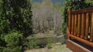 A bench overlooking a forested area with a small stream. - Creekside Cabin (Packwood)