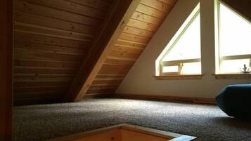 電視、壁爐、 DVD 播放機