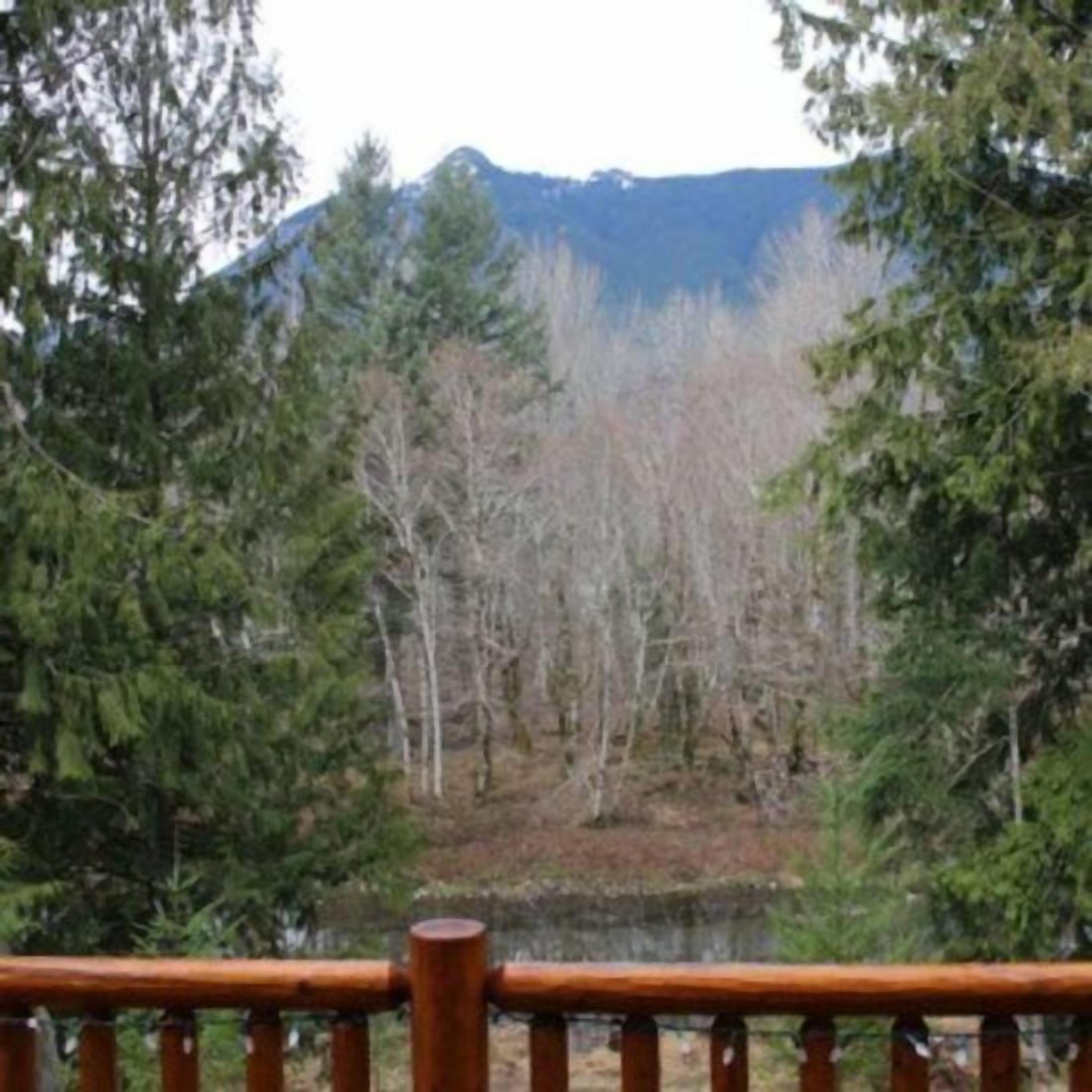 Vista desde una terraza de madera con vistas a un área boscosa y una montaña al fondo.