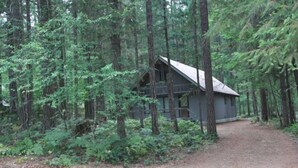 A cabin in a forest with a dirt path leading to it. - Rainier Retreat (Packwood)