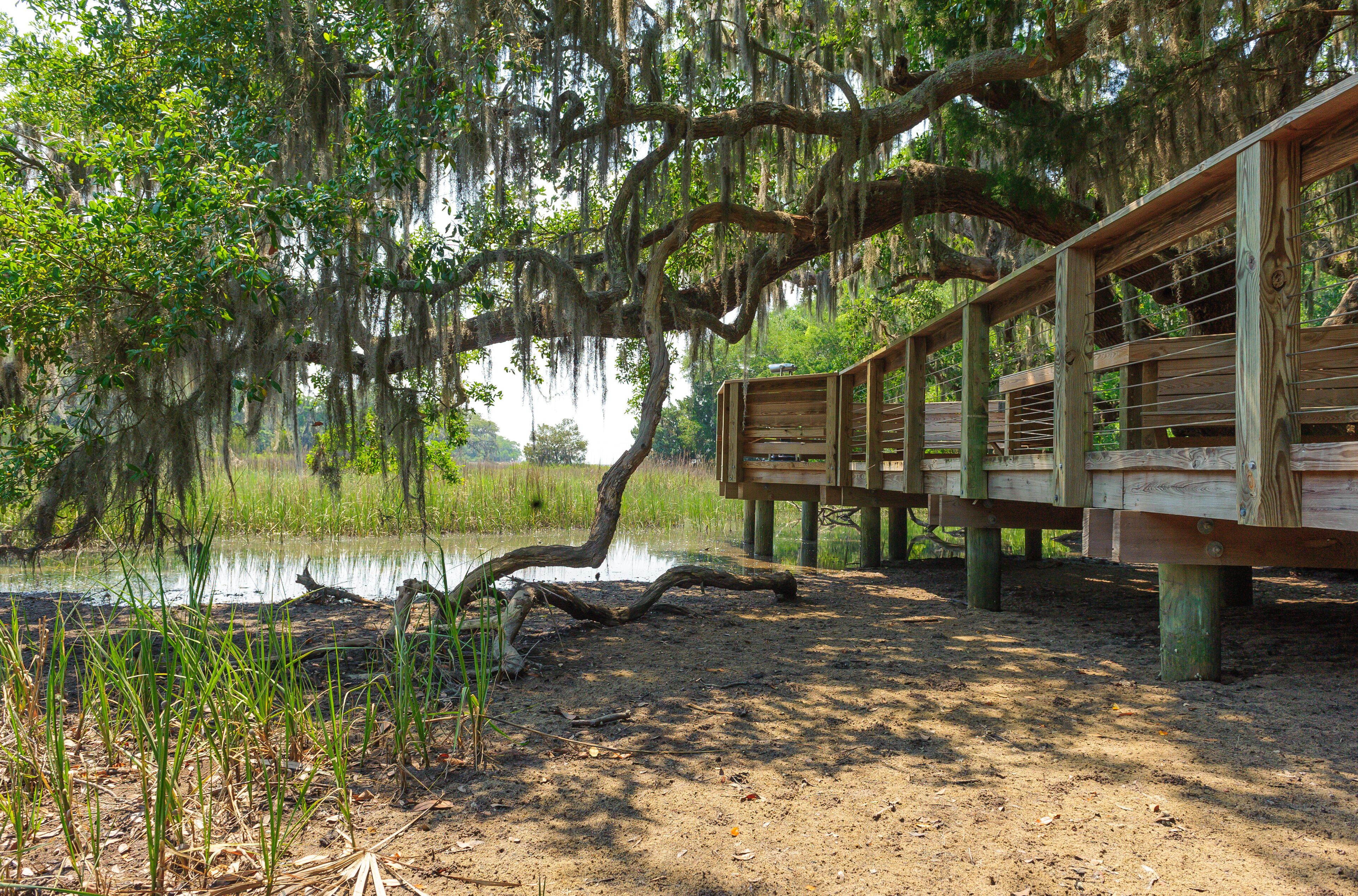 A wooden deck with a rustic design, overlooking a calm body of water and surrounded by lush greenery and trees with hanging moss.