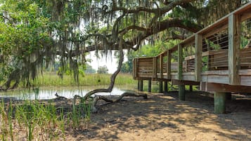 A wooden deck with a rustic design, overlooking a calm body of water and surrounded by lush greenery and trees with hanging moss.