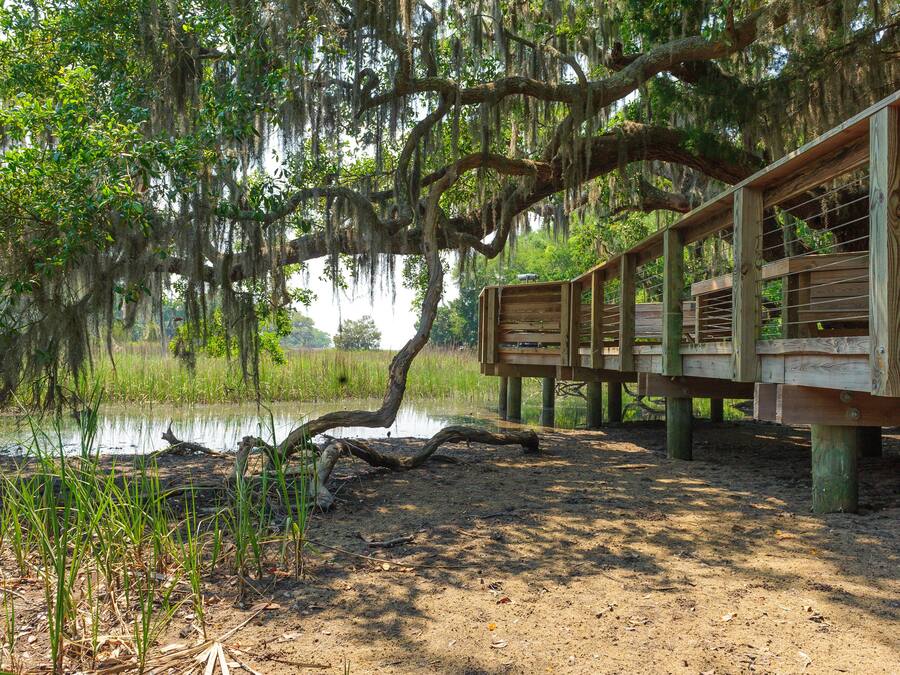 A wooden deck with a rustic design, overlooking a calm body of water and surrounded by lush greenery and trees with hanging moss.