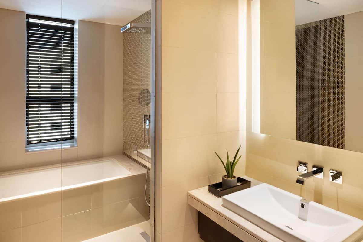 separate bathtub and shower, free toiletries, hair dryer, bathrobes