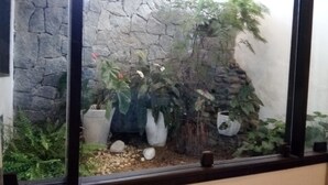 Una ventana con vistas a un muro de piedra y diversas plantas en macetas.