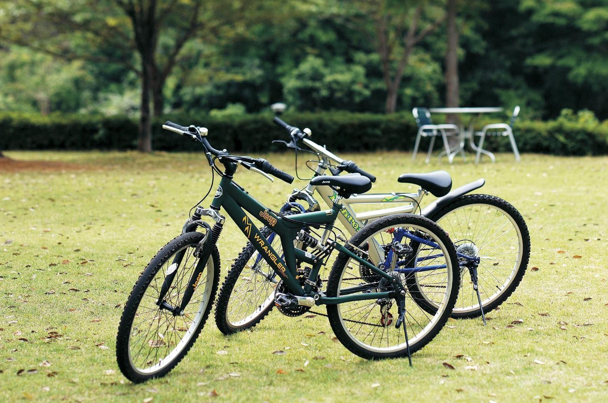 Dos bicicletas estacionadas en un campo cubierto de hierba, con árboles al fondo.