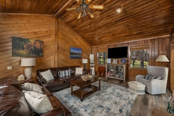 TV connectée, cheminée