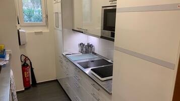 Großer Kühlschrank, Mikrowelle, Herdplatte, Geschirrspüler