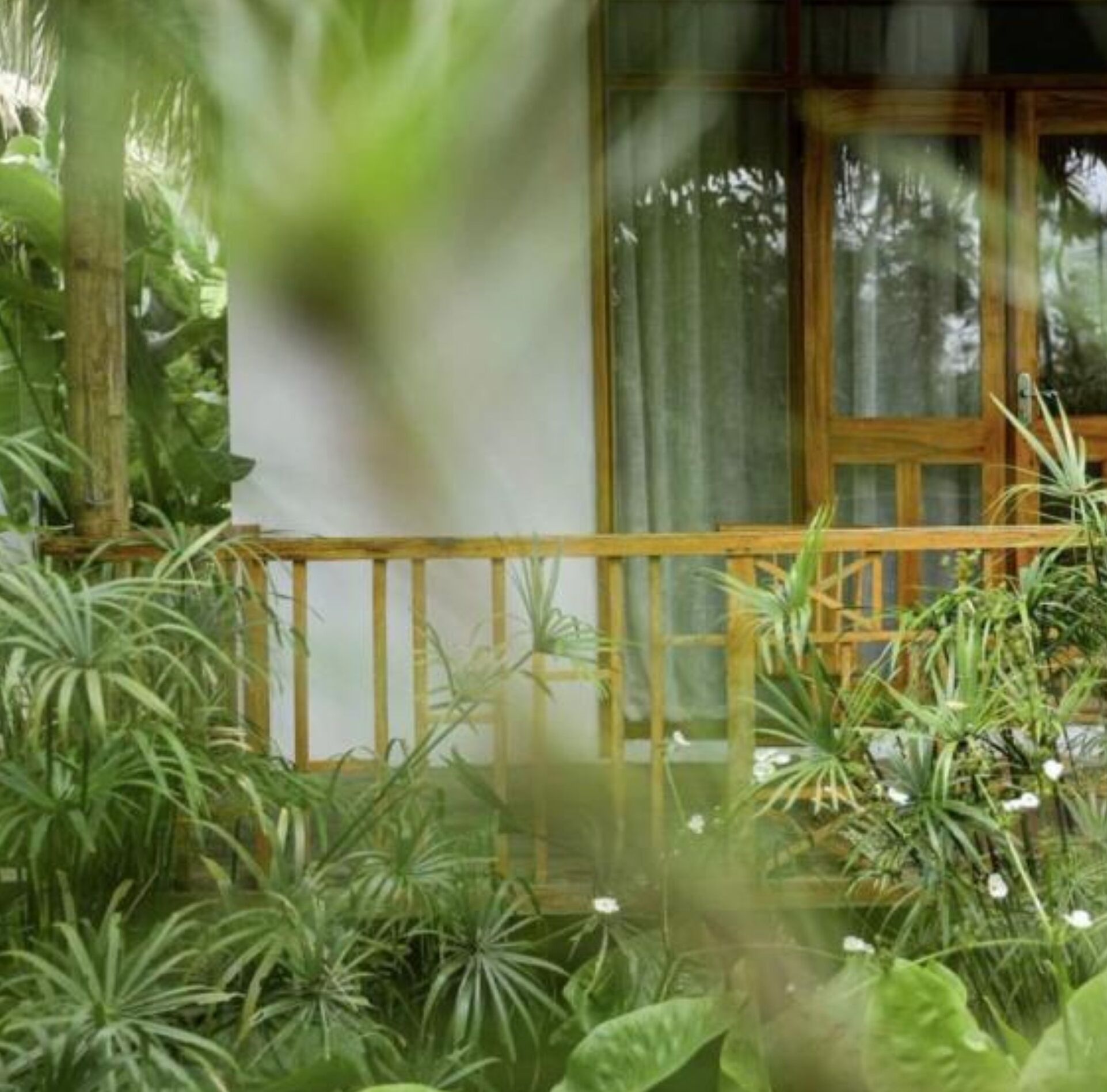 A wooden balcony with lush green plants and a white wall in the background.