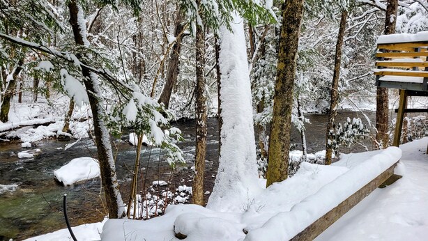 A bench overlooking a snow-covered forest with a stream. - Escape on the river (French Creek)
