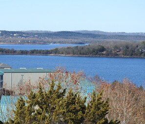 Vista de un lago con edificios en primer plano y una colina arbolada al fondo.