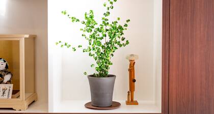 Comfort Self Hotel HACHI-EMON