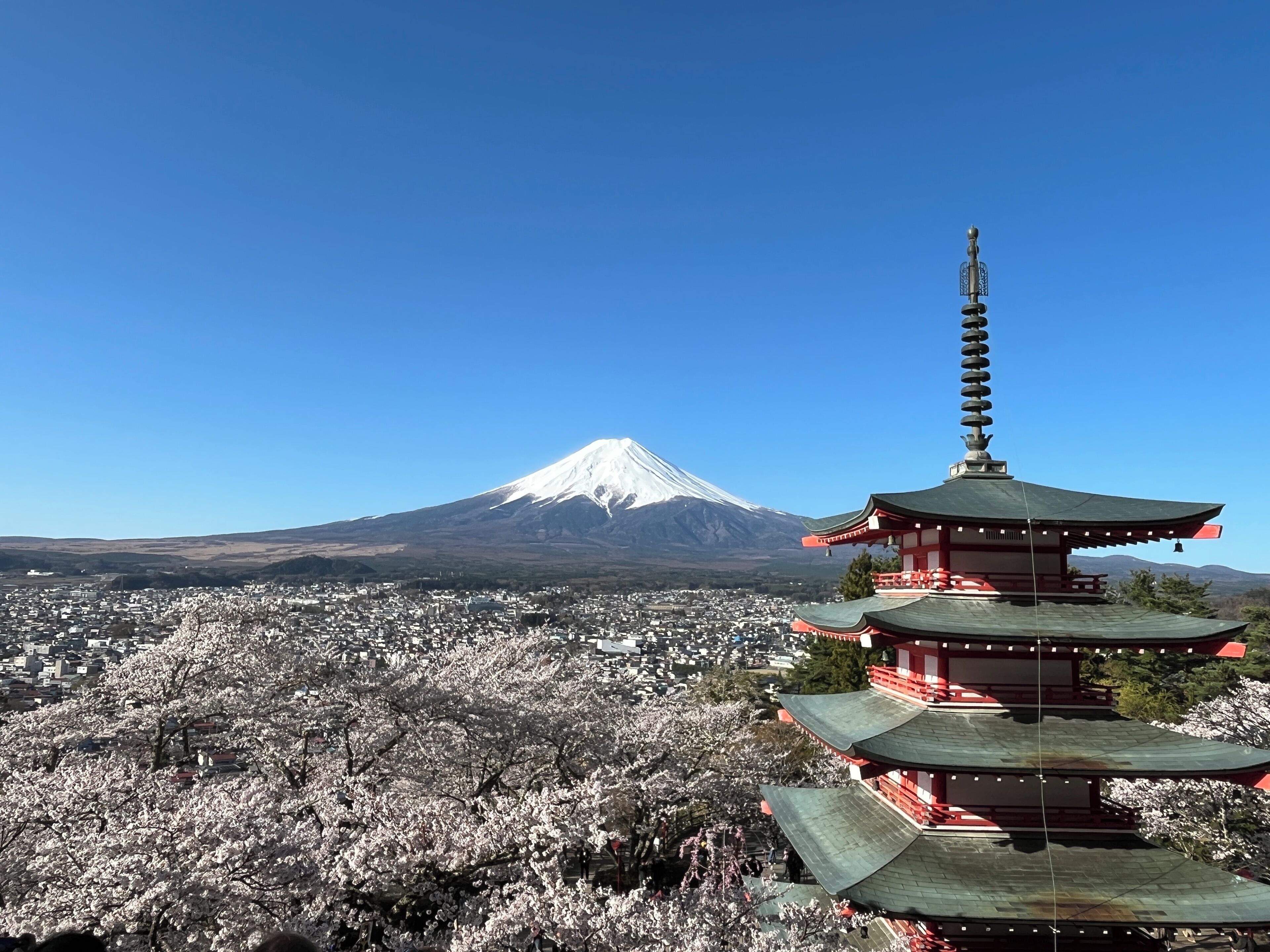 住宿陆地景观