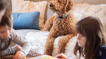 Relax in this family-friendly living room with a plush couch and play area.