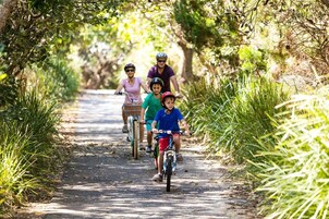 Un sendero bordeado de árboles y hierba, ideal para andar en bicicleta o caminar.