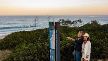 A couple pointing at a map sign near a beach with ocean views.