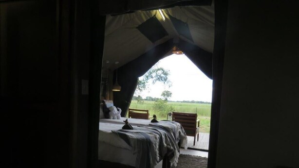 A tented room with a bed, a bench, and a view of a grassy field. - Jumbo Junction (Gunotsoga)