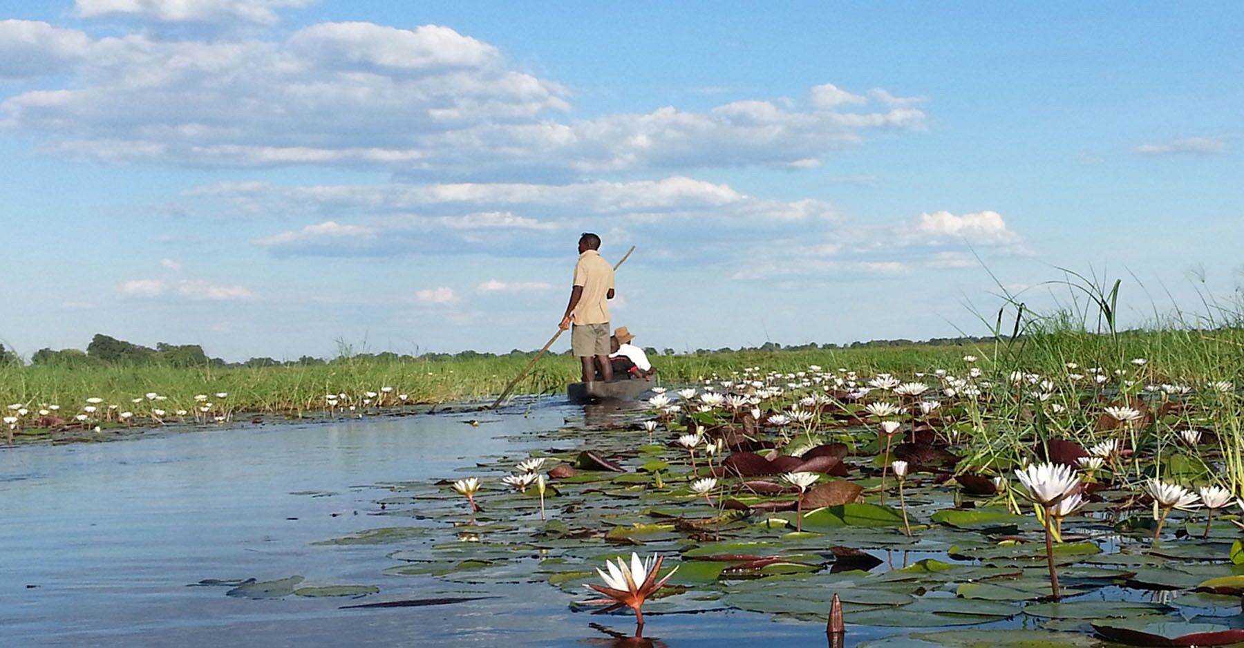 Een man roeit een boot door het water, omringd door lotusbloemen en riet.