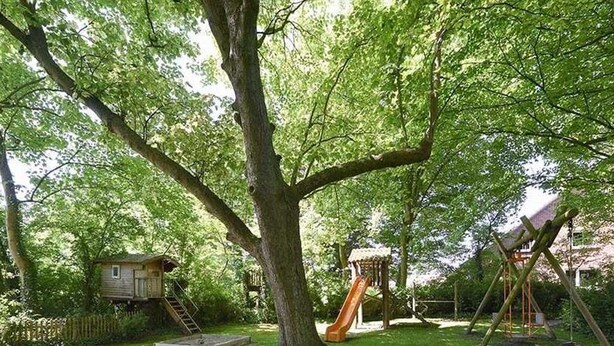 A backyard with a tree, a swing set, a slide, and a small wooden structure.