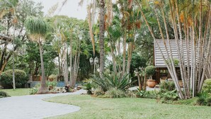 Un jardín con un sendero, palmeras y una estructura de madera.