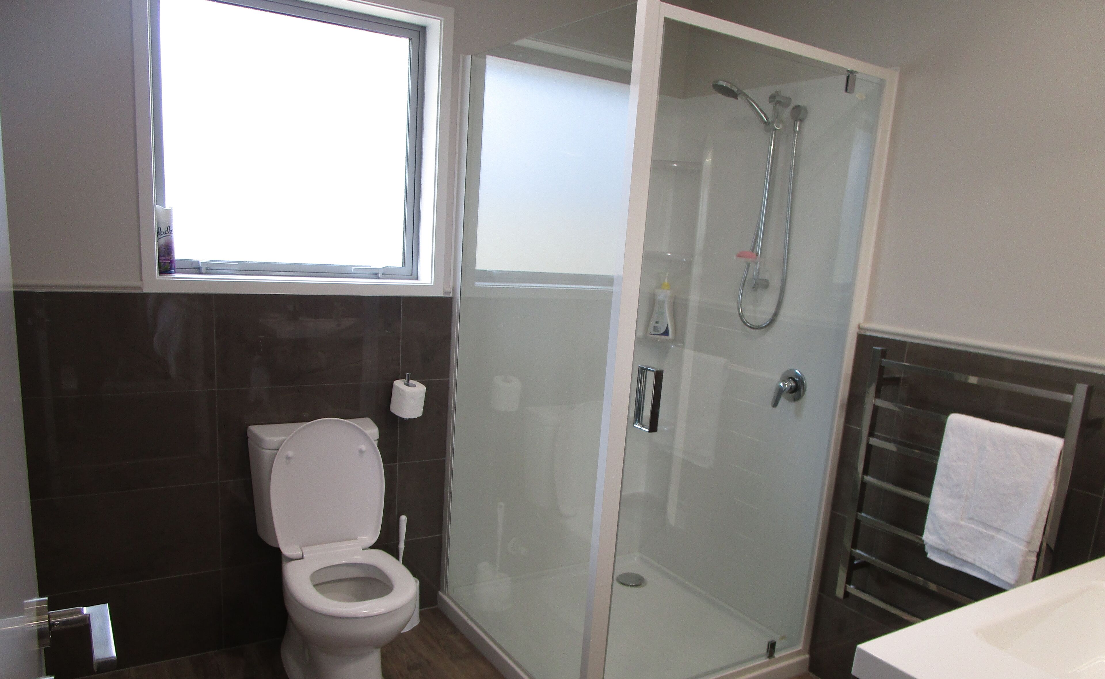 Ducha, secador de pelo, toallas, jabón